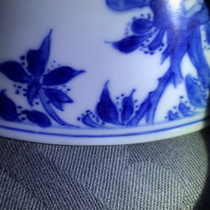 Een Chinese blauwwitte kom met lange Lijzen, Kangxi — foto 13