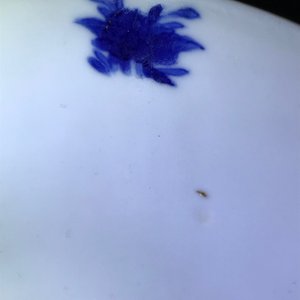 Een Chinese blauwwitte kom met lange Lijzen, Kangxi — foto 10