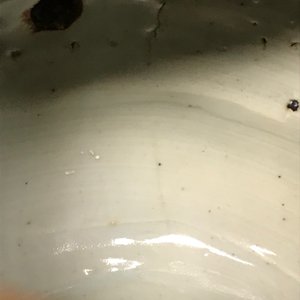 Een Chinese blauwwitte kraakporseleinen gedekselde wijnkan, Wanli — foto 13