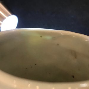 Een Chinese blauwwitte moonflask met drakendecor, 19e eeuw — foto 10