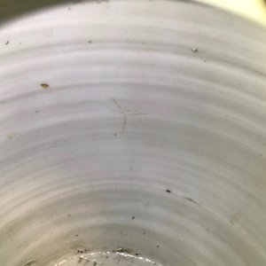 Een Chinese blauwwitte pot met lange Lijzen en zotjes, Kangxi — foto 11