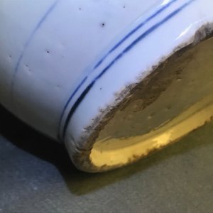 Een Chinese blauwwitte pot met vruchten en insecten, Transitie periode — foto 13