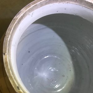 Een Chinese blauwwitte pot met vruchten en insecten, Transitie periode — foto 9