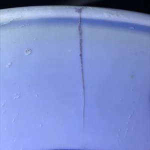 Een Chinese blauwwitte schotel met een gevleugelde draak, Jiajing merk en periode — foto 5