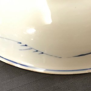 Een Chinese blauwwitte schotel met vruchten in gebladerte, Kangxi — foto 9