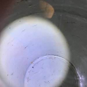 Een Chinese blauwwitte vaas met boeddhistische leeuwen en pioenen, Ming, Wanli — foto 42
