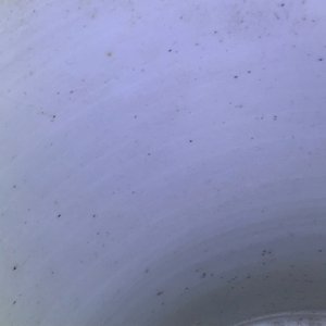 Een Chinese blauwwitte vaas met feniksen, Kangxi — foto 9