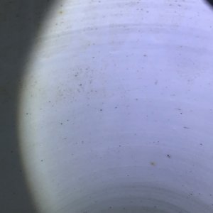 Een Chinese blauwwitte vaas met feniksen, Kangxi — foto 10