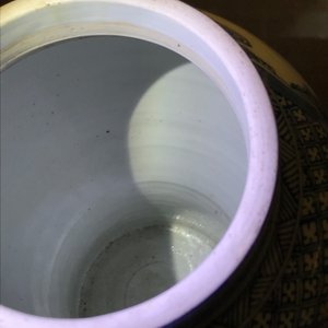 Een Chinese blauwwitte vaas met onsterfelijken, Kangxi — foto 13