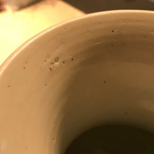 Een Chinese blauwwitte vaas met 'sanduo' decor, 19/20e eeuw — foto 17