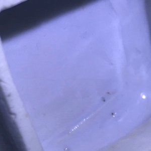 Een Chinese blauwwitte vierkante theepot met nimfen en vissen, Kangxi/Qianlong — foto 11