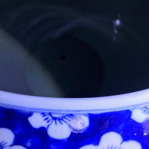 Een Chinese blauwwitte vissenkom en een famille rose jardinière met draken, 19e eeuw en Yongzheng — foto 16