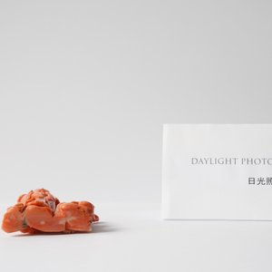 Een Chinese bloedkoralen groep met een dame, een eekhoorn en een konijn, 19/20e eeuw — foto 13