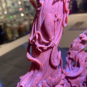 Een Chinese bloedkoralen groep met Guanyin, 19/20e eeuw — foto 37
