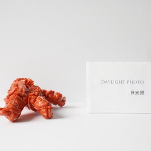 Een Chinese bloedkoralen groep met twee dames en een kind, 19/20e eeuw — foto 11