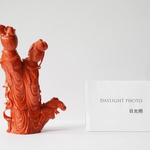 Een Chinese bloedkoralen groep met twee dames en een kind, 19/20e eeuw — foto 10
