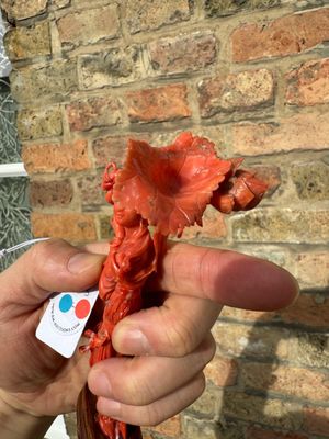 Een Chinese bloedkoralen sculptuur van een staande dame met een bloem, 19/20e eeuw — foto 3
