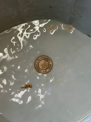Een Chinese Canton famille rose tazza met feniksen, 19e eeuw — foto 8