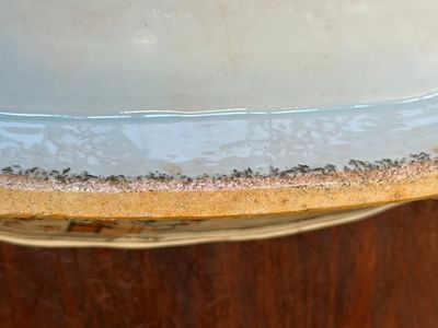 Een Chinese Canton famille rose terrine, deksel en onderschotel met mandarijns decor, Qianlong — foto 17