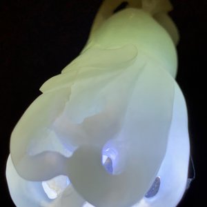 Een Chinese celadon jade 'Boeddha hand', 19e eeuw — foto 12