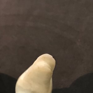 Een Chinese celadon jade penselenwasser en een paar witte jade eenden, 19e en 20e eeuw — foto 14