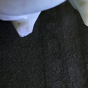Een Chinese celadon jade penselenwasser en een paar witte jade eenden, 19e en 20e eeuw — foto 16