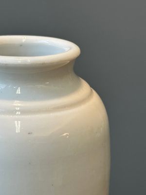 Een Chinese Dehua blanc de Chine vaas met floraal anhua decor, Kangxi — foto 6
