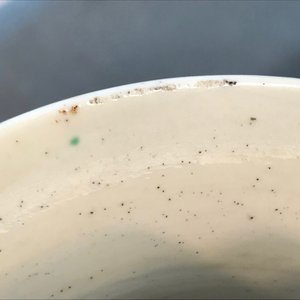 Een Chinese famille noire vaas met eksters bij prunusbloesems, Kangxi — foto 9