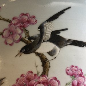 Een Chinese famille rose cachepot met eksters op prunusbloesems, 19/20e eeuw — foto 11