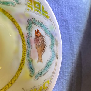 Een Chinese famille rose kop en schotel naar Cornelis Pronk, 'De doktersvisite aan de keizer', Qianlong — foto 11