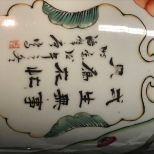 Een Chinese famille rose vaas met tweezijdig decor, 19/20e eeuw — foto 17