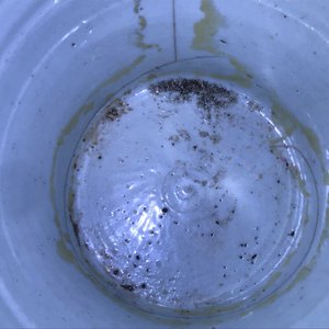 Een Chinese famille verte dekselvaas en een Swatow pot, Transitie periode en 19e eeuw — foto 26