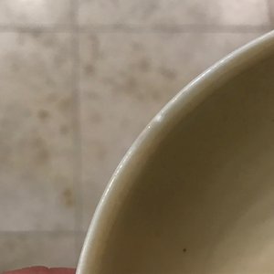 Een Chinese famille verte zeemleer dekselkom, Kangxi — foto 7