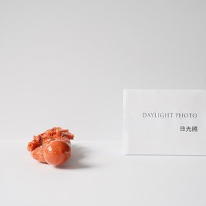 Een Chinese figuur van Shou Lao in rood koraal, 19/20e eeuw — foto 11