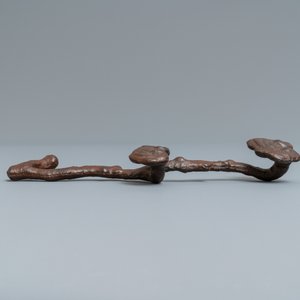 Een Chinese gietijzeren penselenrust in de vorm van een ruyi scepter met lingzhi, Ming — foto 3