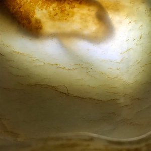Een Chinese jade libation cup in de vorm van een lotusblad, 18/19e eeuw — foto 17