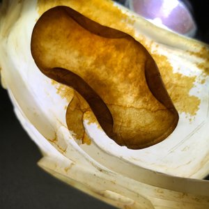 Een Chinese jade libation cup in de vorm van een lotusblad, 18/19e eeuw — foto 27
