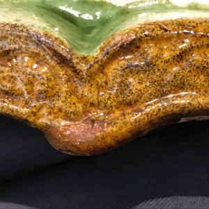 Een Chinese lotusvormige schotel met sancai glazuur, Liao — foto 13