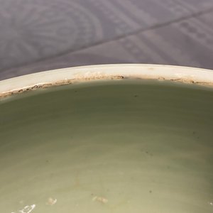 Een Chinese monochrome celadon driepotige wierookbrander met onderglazuur floraal decor, Kangxi — foto 20