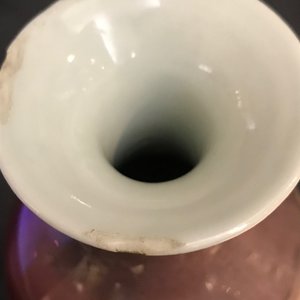Een Chinese monochrome leverrode flambé vaas, Kangxi — foto 8