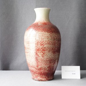 Een Chinese monochrome peachbloom vaas, 18/19e eeuw — foto 9