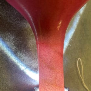 Een Chinese monochrome robijnrode flesvormige vaas, Qing — foto 10