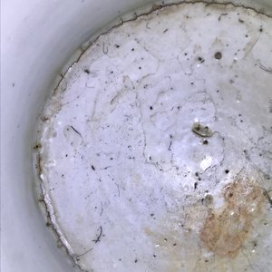 Een Chinese monochrome witte vaas met houten deksel en sokkel, Ming — foto 15