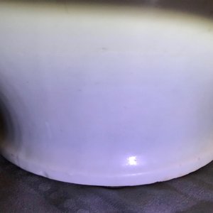 Een Chinese monochrome witte vaas met houten deksel en sokkel, Ming — foto 17