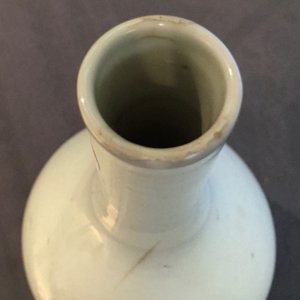 Een Chinese monochroom witte anhua-gedecoreerde vaas met draak, 18/19e eeuw — foto 15