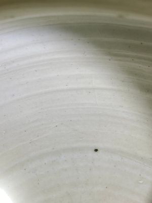 Een Chinese opgehoogde 'draken' vaas in Nanking-stijl, 18/19e eeuw — foto 6