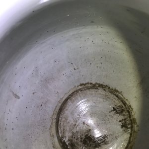 Een Chinese qianjiang cai hu vaas met herten, 19/20e eeuw — foto 16