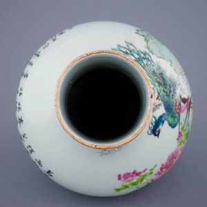 Een Chinese qianjiang cai vaas met vogels, gesigneerd Ma Qing Yun, 19/20e eeuw — foto 5