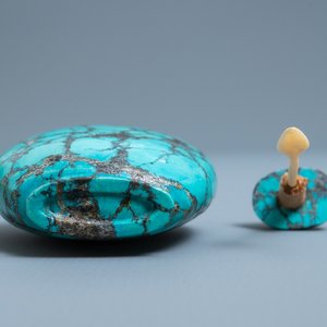 Een Chinese snuiffles in turkoois, 19e eeuw — foto 7