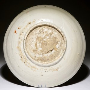 Een Chinese Swatow schotel met eenden bij een vijver, Ming — foto 2